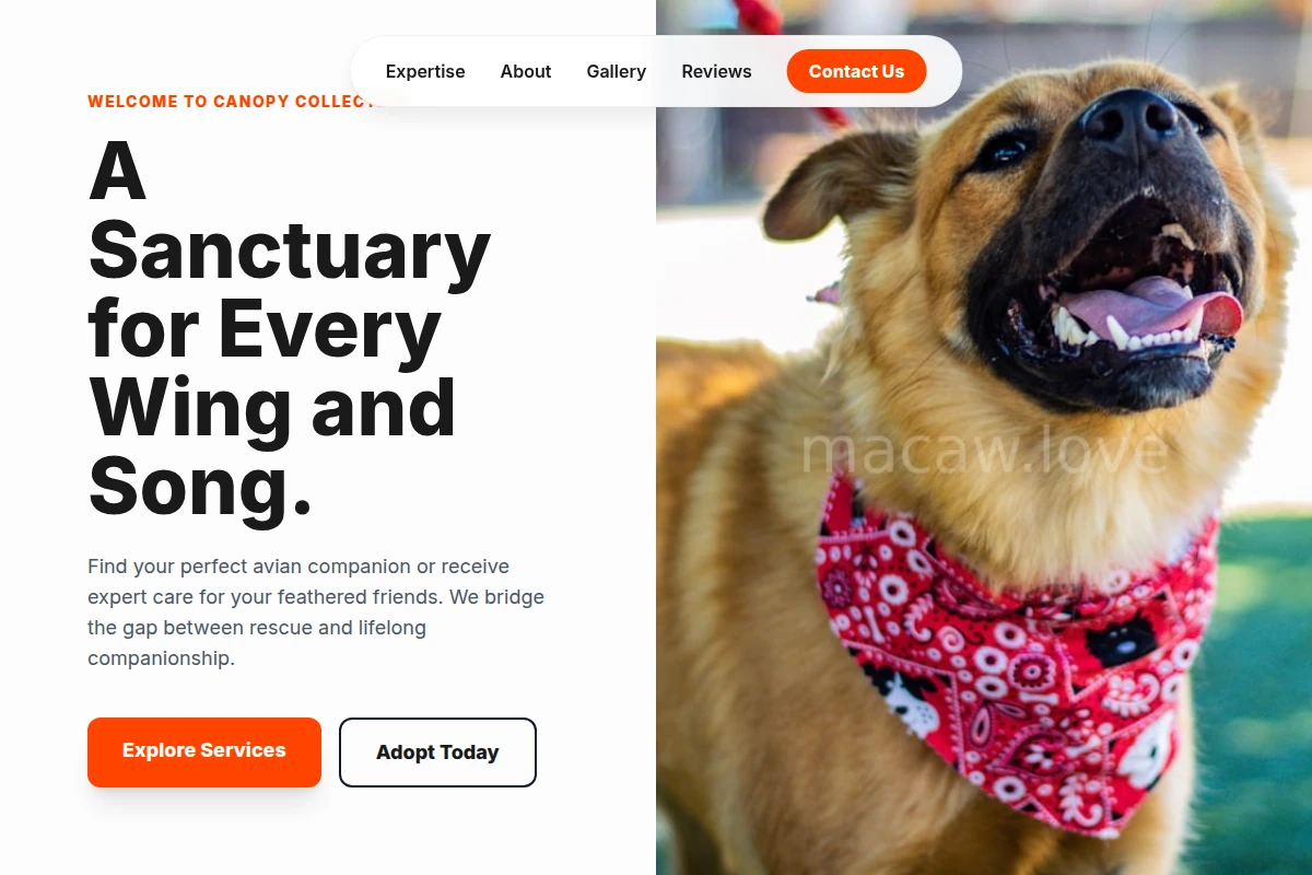 animal-shelter